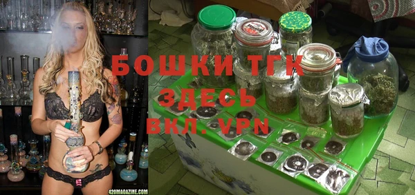 соль ск Балахна
