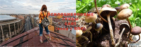 трава Балабаново
